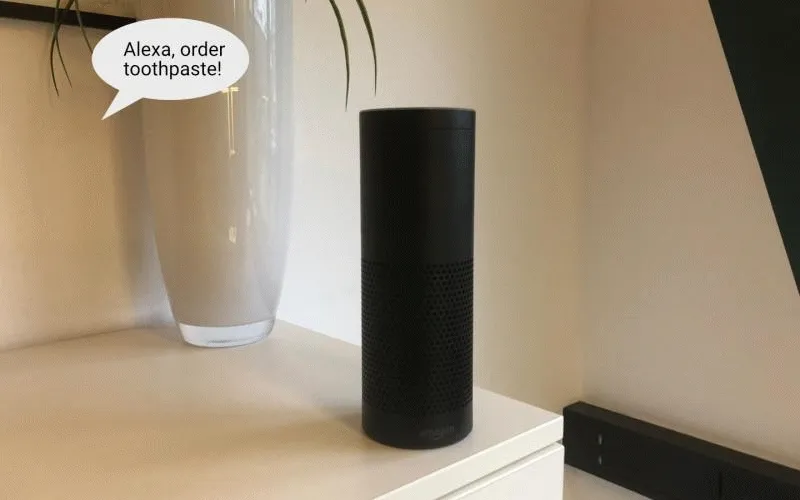 A conversation between a customer and Alexa. Customer:"Alexa, order toothpaster!" Alexa"i have added Amazion Basics toothpaste to your shopping cart." Customer:"But I would like Colgate..." Alexa:"I am afraid I can not help you with that, Dave.""
