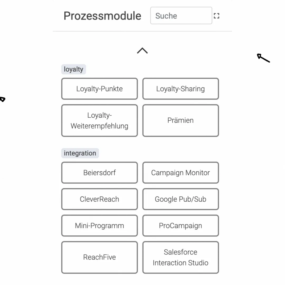 Different process modules are ordered in two groups. Loyalty (loyalty points, loyalty sharing, loyalty recommendation and rewards.) and Integration (Beiersdorf, campaign monitor, cleverreach, google Pub/sub, Mini-programme, procampaign, reachfive and salesforce interaction studio.)
