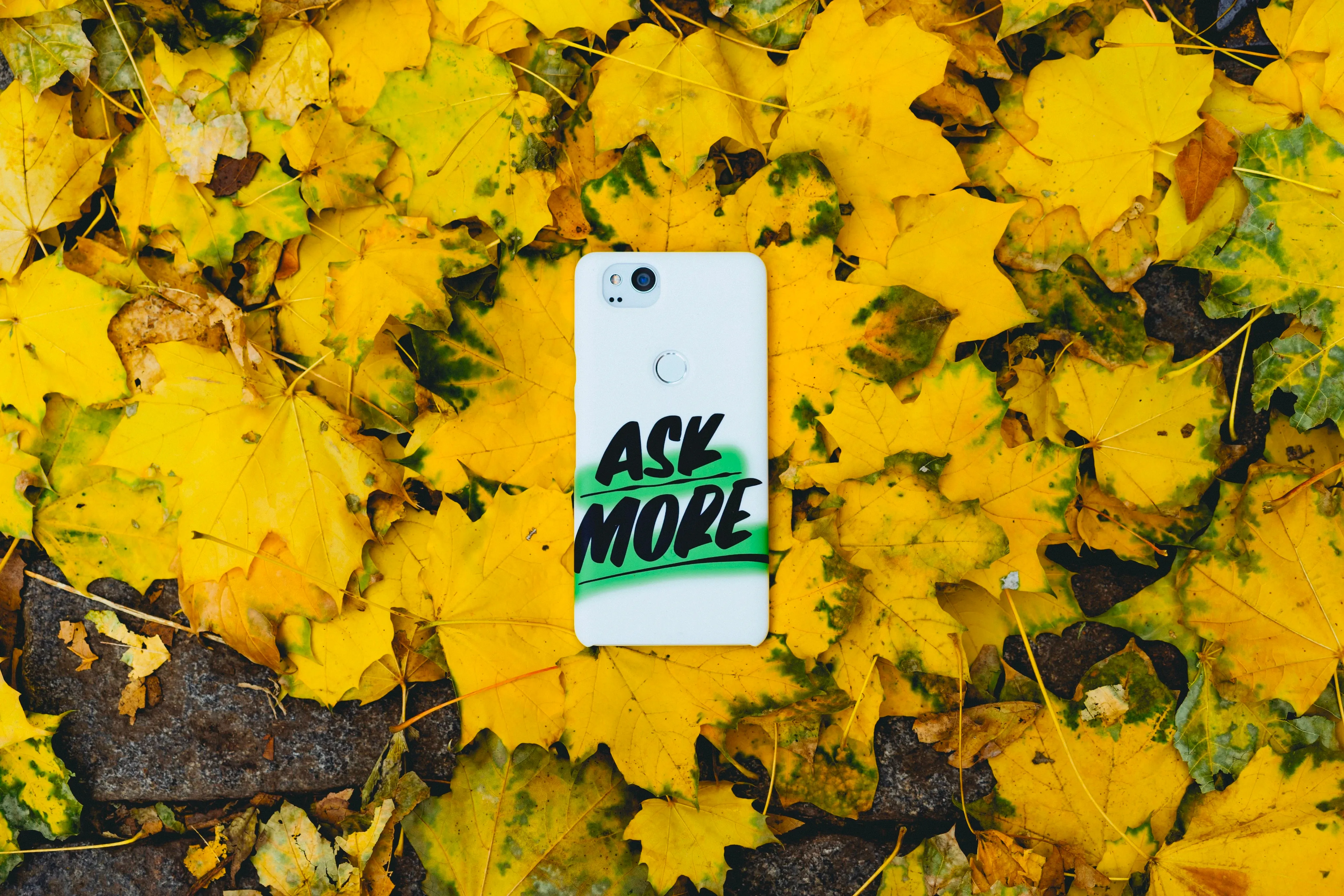 A smartphone with an "Ask More" case is lying on golden leafs.