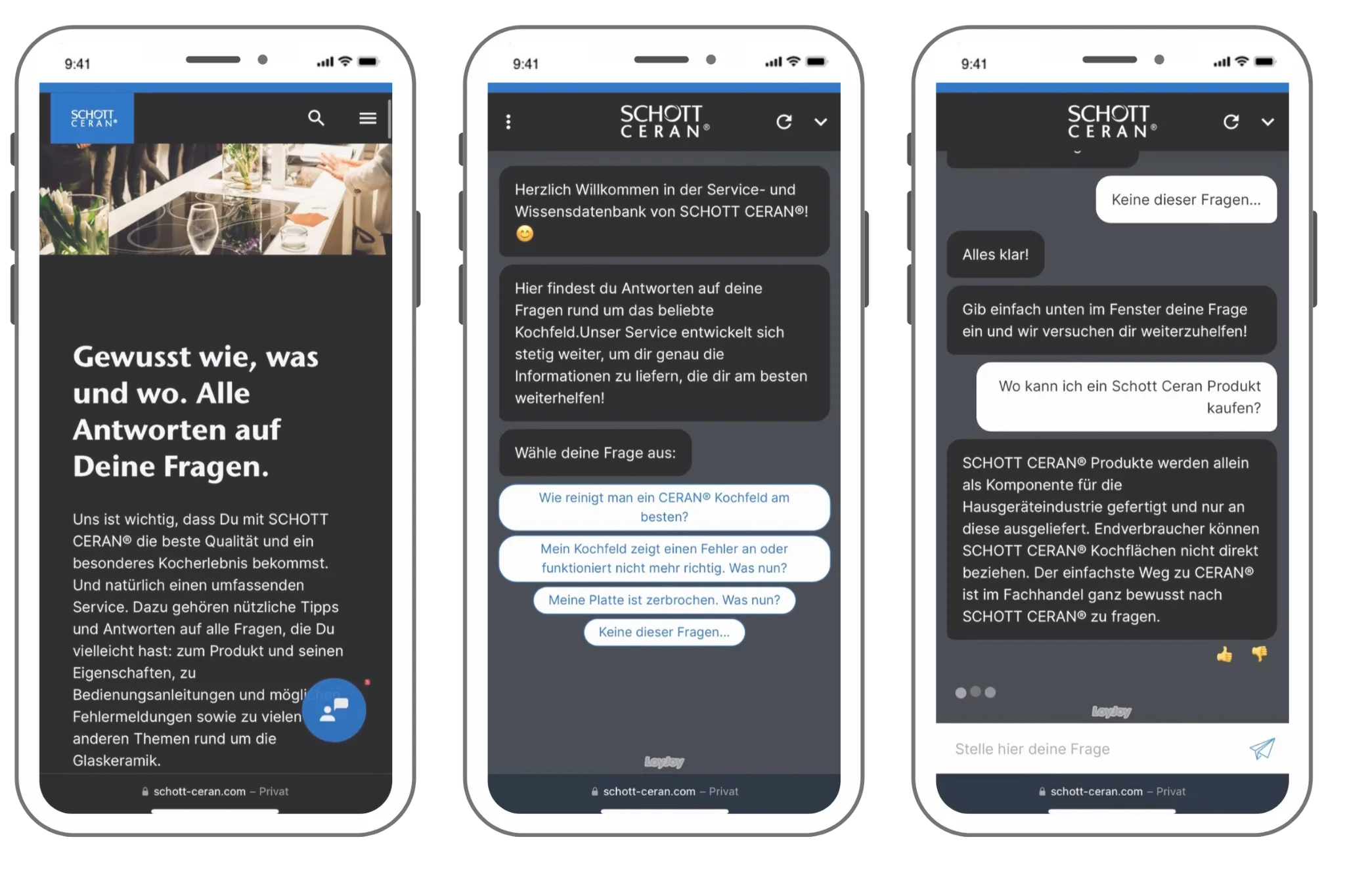 Screenshots of the Ceran chatbot